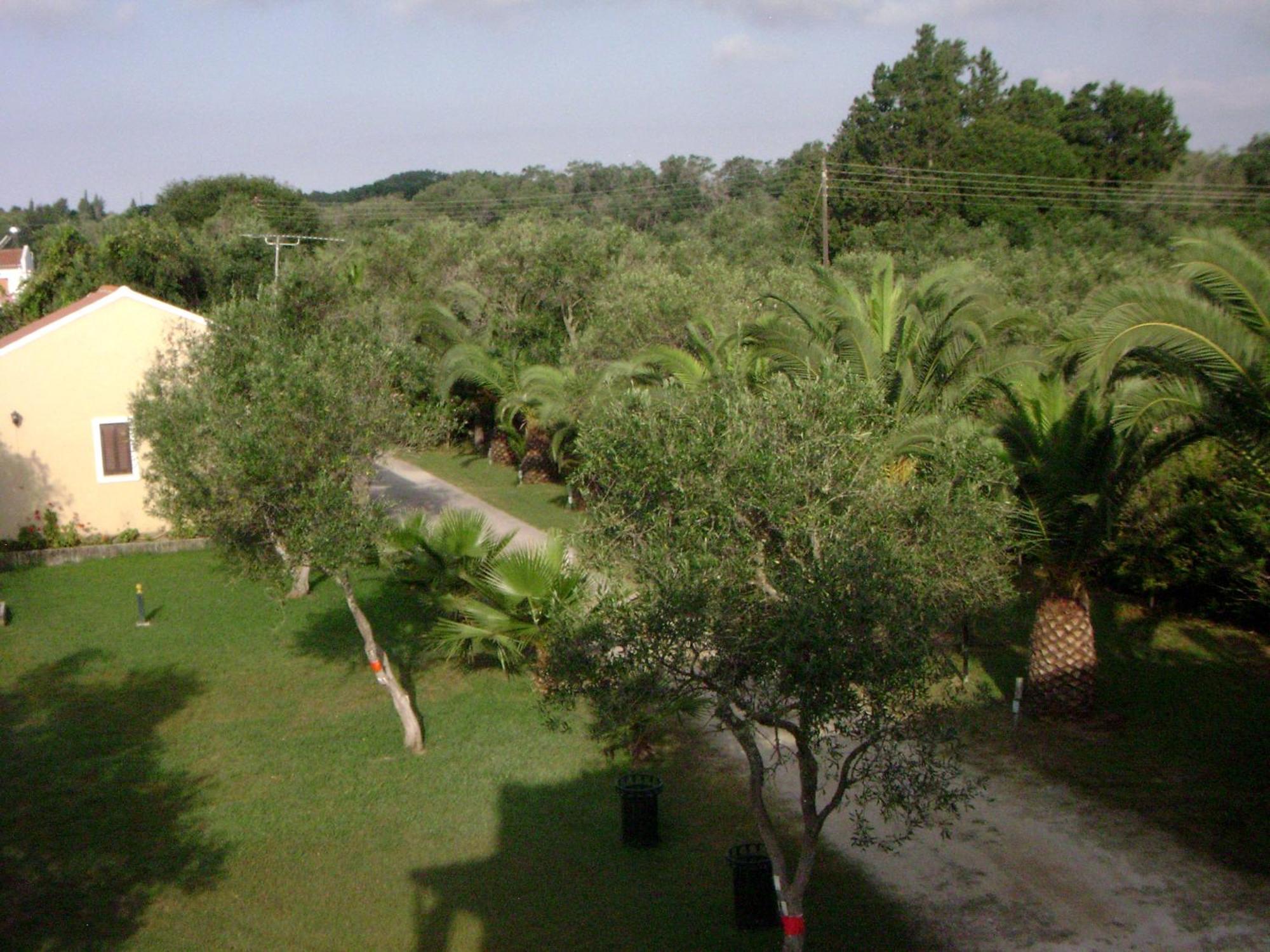 קאבוס Irini Apartments And Studios מראה חיצוני תמונה